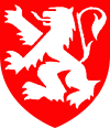 Site officiel du Comité des fêtes de la ville de Lyon